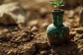 Cannabis plant seedling growing from a vase