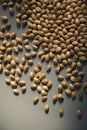 Cannabis seeds close-up. Marijuana seeds on grey background