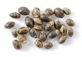 Cannabis seeds isolated on white background. Close up