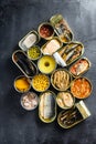 Canned conserve products in tin cans. with fresh organic ingridients Saury, mackerel, sprats, sardines, pilchard, squid, tuna Royalty Free Stock Photo