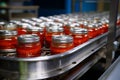 Canned fish factory Sardines in tomato sauce, production line scene