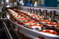 Canned fish factory Sardines in tomato sauce, production line scene
