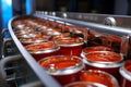 Canned fish factory Sardines in tomato sauce, production line scene