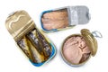 canned fish, image of several types of fish in various oils marketed Royalty Free Stock Photo