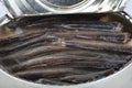 Canned fish in tin Royalty Free Stock Photo