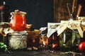 Canned food concept. Fermented, pickled, marinated preserved vegetarian food. Organic vegetables and fruits in jars with spice and Royalty Free Stock Photo