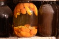 Canned fruits and compotes in jars covered with dust and cobwebs.