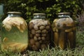 Canned fruits and vegetables in glass jars