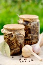 Canned Marinated Honey Fungus, copy space for your text