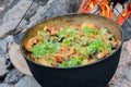 Canned meat and vegetables stewed in large castiron cauldrons at bonfire