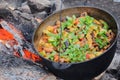 Canned meat and vegetables stewed in large castiron pot at bonfire