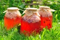 Canned Mixed Fruit Compote Royalty Free Stock Photo