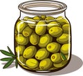 Canned olives in glass jar. Illustration outline food product in retro sketch style, vector