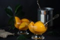 Canned peaches with syrup in a bowl on a dark background, near a tin can with a spoon Royalty Free Stock Photo