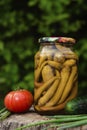 Canned Pickled chili peppers in a glass jar Royalty Free Stock Photo