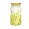 Canned Pickled Cucumber or Gherkin Preserved with Brine in Glass Jar Vector Illustration