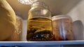 Canned pickled cucumbers gherkins in an open jar on a shelf in the refrigerator. Partial focus