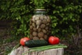 Canned Pickled green tomatoes in a glass jar Royalty Free Stock Photo