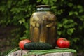 Canned pickles in a jar.Canned pickled vegetables in a glass jar Royalty Free Stock Photo