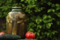 Canned pickles in a jar.Canned pickled vegetables in a glass jar Royalty Free Stock Photo