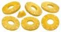 Canned pineapple rings isolated on white background Royalty Free Stock Photo