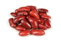 Canned Red Kidney Beans Isolated on White Background Royalty Free Stock Photo