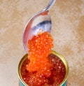 Canned salmon red caviar Royalty Free Stock Photo