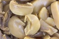 Canned Sliced Mushrooms Close View