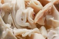 Canned sliced squid as a background close-up Royalty Free Stock Photo