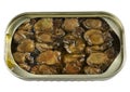 Canned Smoked Oysters