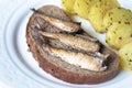 Canned sprats on rye bread served with herb baked potatoes Royalty Free Stock Photo