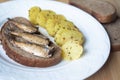 Canned sprats on rye bread served with herb baked potatoes Royalty Free Stock Photo