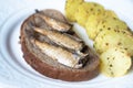 Canned sprats on rye bread served with herb baked potatoes Royalty Free Stock Photo