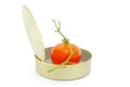 Canned tomato Royalty Free Stock Photo