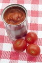 Canned Tomato Soup Royalty Free Stock Photo
