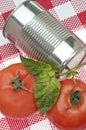 Canned Tomato Soup Royalty Free Stock Photo