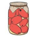 Canned tometoes preserve. Vector concept in doodle and sketch style