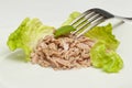 Canned tuna chunks Royalty Free Stock Photo