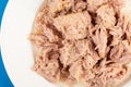 Canned Tuna Fish Slices Served On The White Plate Royalty Free Stock Photo