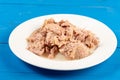 Canned Tuna Fish Slices Served On The White Plate Royalty Free Stock Photo
