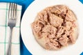 Canned Tuna Fish Slices Served On The White Plate Royalty Free Stock Photo