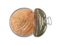 Canned Tuna Isolated, Albacore Fish Chunks in Open Tin Can, Tuna Oil Preserve, Seafood Conserve Royalty Free Stock Photo