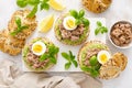 Canned tuna open sandwiches. Buns burgers with canned tuna, boiled egg and avocado