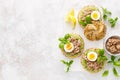 Canned tuna open sandwiches. Buns burgers with canned tuna, boiled egg and avocado Royalty Free Stock Photo