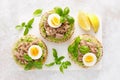 Canned tuna open sandwiches. Buns burgers with canned tuna, boiled egg and avocado Royalty Free Stock Photo