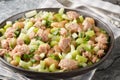 Canned tuna salad with butter beans, celery, green onions and capers close-up in a plate. Horizontal Royalty Free Stock Photo