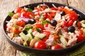 Canned tuna salad with fresh vegetables and beans close-up in a plate. horizontal Royalty Free Stock Photo