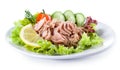 Canned tuna with vegetable salad