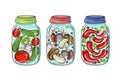 Canned vegetables in a jar insulated on a white background