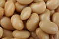 Canned white kidney beans as background, top view